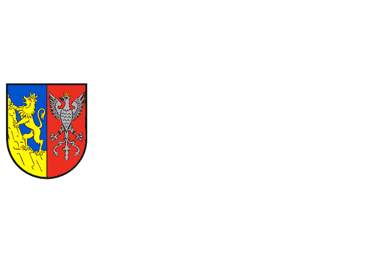 Отинія